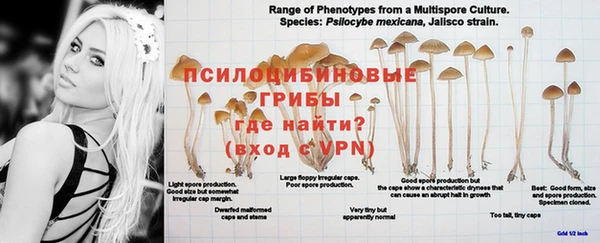 трава Михайлов