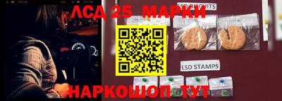 spice Камышлов