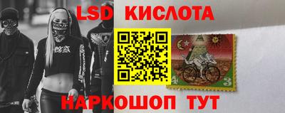 spice Камышлов