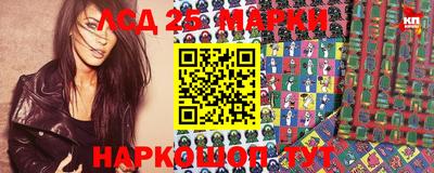 spice Камышлов