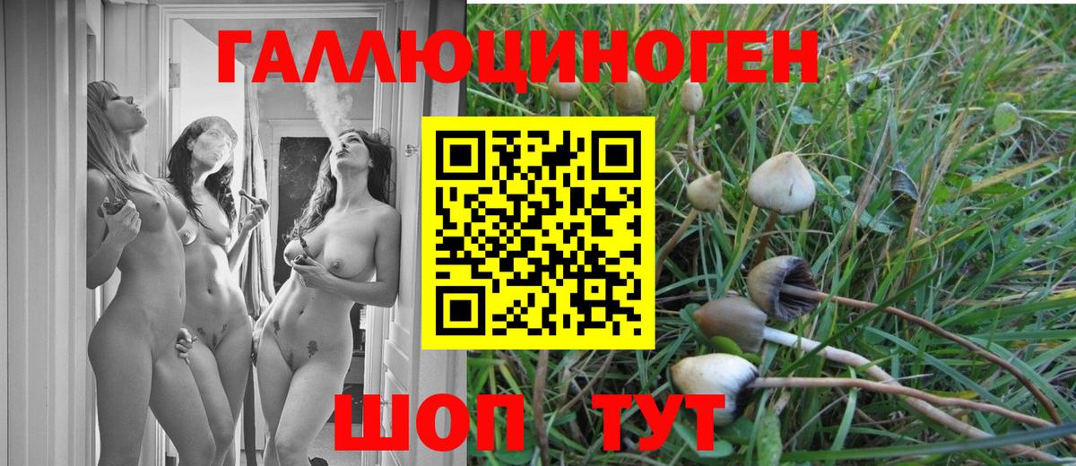 Серов  Галлюциногенные грибы Psilocybe  Вход с VPN 