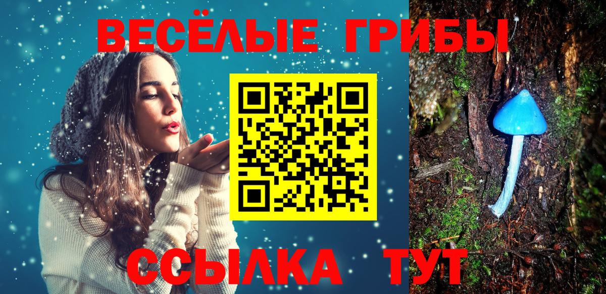 Псилоцибиновые грибы Psilocybe Серов